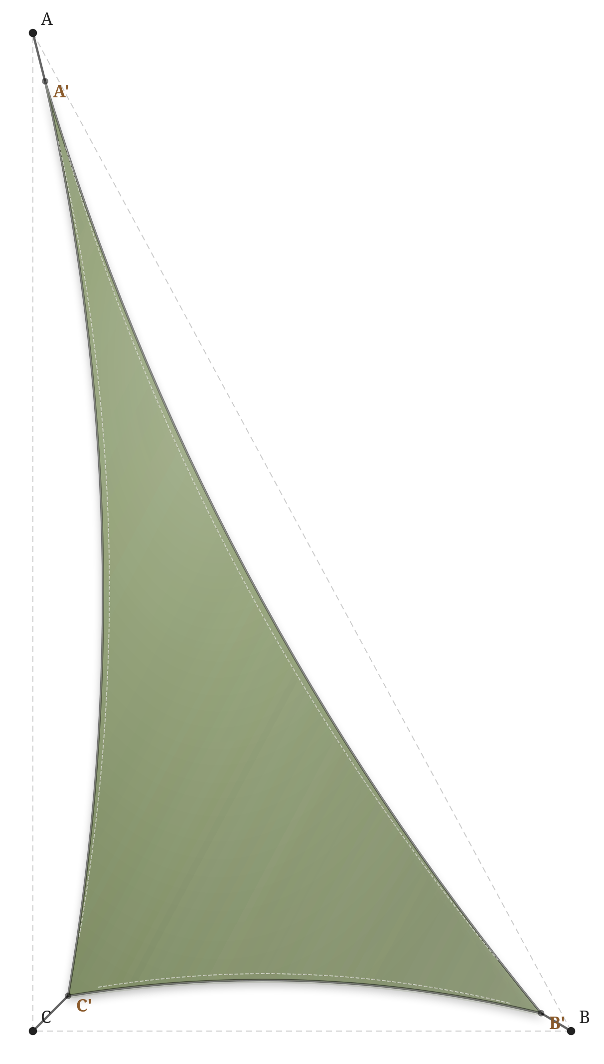 Voile d'ombrage - Forme Triangle Rectangle - Vert mousse 92-2158